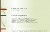 Open Filer