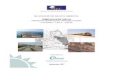 Declaracion de Impacto Ambiental Proyecto via Ferrea