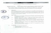 Directiva Nº 022_produccion de Texto (2)
