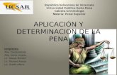 Aplicación y Determinacion de La Pena Exposicion de Penal Superior