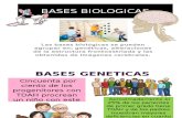 Bases Biologicas