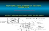 Clase 01 - Anatomia Del Aparato Genital Femenino