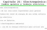 21_Electroquímica, SILBERBERG