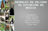 Animales en Peligro de Extinción en México