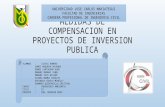 Medidas de Compensacion en Proyectos de Inversion Publica
