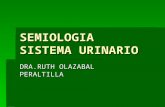 Semiología Del Sistema Urinario