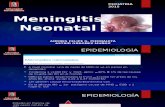 Meningitis Neonatal