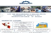 Ley de Seguridad 29783 SST - Presentación
