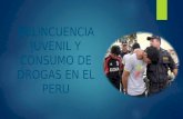 La Delincuencia Juvenil en El Peru