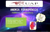 Anemia Ferropeniaa