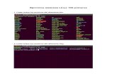 Ejercicios Sistemas Linux 100 Primeros (1)
