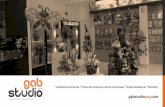 Brouchure Digital-gab Studio