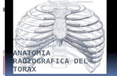 Anatomia Radiografica Del Torax