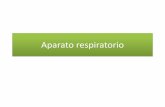 196_Aparato respiratorio.pdf