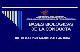 Bases Bases Biologicas de La Conducta IIBiologicas de La Conducta II