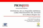 Presentacion Prompyme Puno 2003