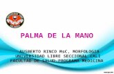 Mano - Palma- Peña- Arcia