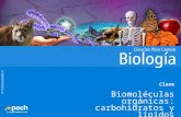 Clase 3 Biomoléculas Orgánicas Carbohidratos y Lípidos