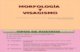 Morfologa y Visagismo