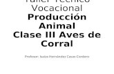 Taller Técnico Vocacional - Producción Animal - Clase III Aves de Corral