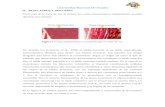 VISUALIZACION MICROSCOPICA DE DIFERENTES tipos de carne -FINAL.docx