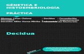 Génetica e Histoembriología Sesión 4 MEDICINA UPAO