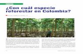 89 Forestal Reforestar