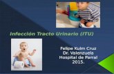 Infeccion Tracto Utinario (ITU)