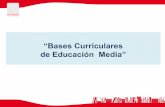 Nuevas Bases Curriculares de Lenguaje.