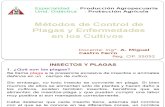 Clase Métodos de Control de Plagas y Enfermedades 2010