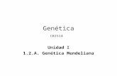 Session 18-Genetica Mendeliana