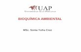 4.1. BQMA (Metabolismo y Biotransformación de Xenobióticos)
