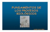 Fundamentos de Los Procesos Biológicos_presentación