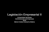 Legislacion Empresarial. Pp
