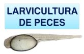 Unidad 6. Larvicultura de Peces.pdf