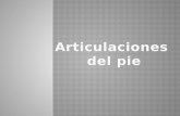 9.- Articulacion Del Pie