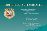 Competencias Laborales v.5