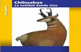 Chihuahua.3ero.entidad.2014 2015.CicloEscolar.com