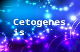 cetogenesis (1)