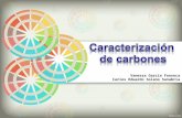 Caracterizacion de Carbones Bituminoso