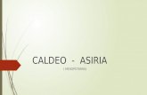 CALDEO  -  ASIRIA