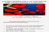 Anemia Hemolitica Autoinmune