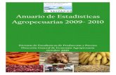 Anuario Estadstico 2009-2010