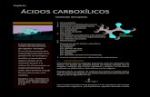 Acidos Carboxilicos Backup Backup