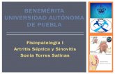 Artritis septica y Sinovitis.pdf