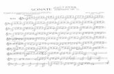 Sonata Dresde No 5