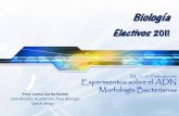 BL11-01 Experimentos Sobre El ADN. Morfología Bacteriana