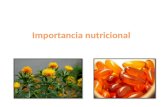 Importancia Nutricional Cártamo