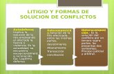 Litigio, Formas de Solucionar Conflictos, Sistemas Procesales, Principios Procesales