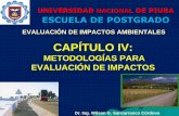 CAP. IV Metodologías Para Evaluación de Impactos